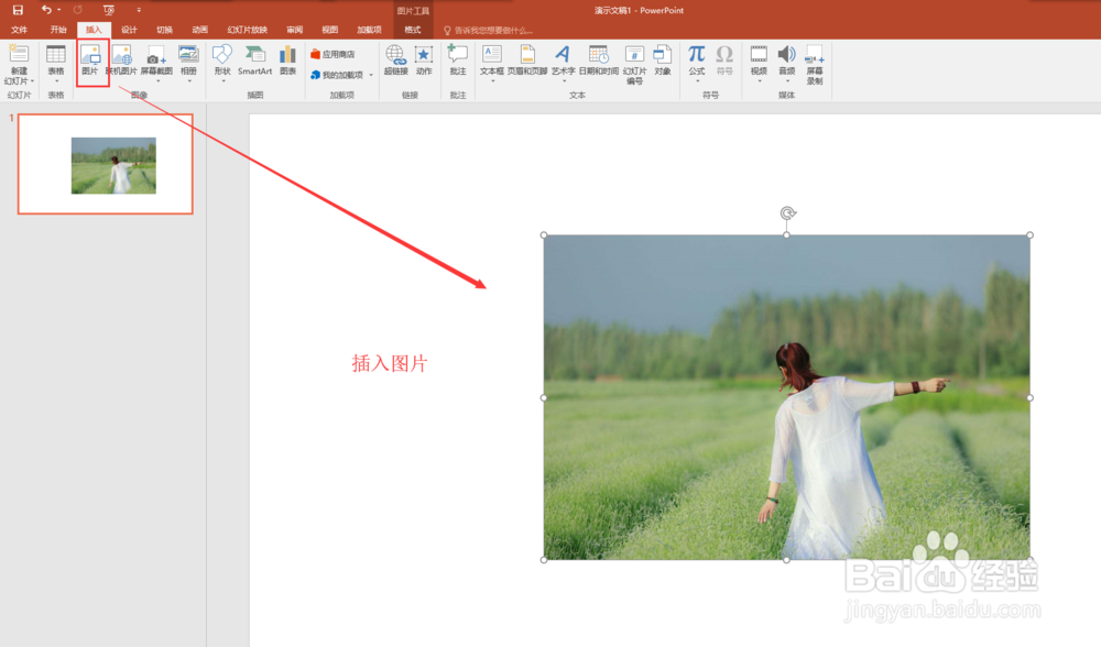 PPT通过文本框实现条形拼接图片效果