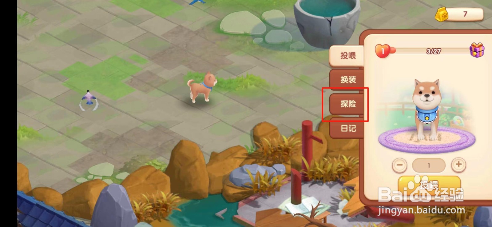 花田小院宠物狗如何出发去探险