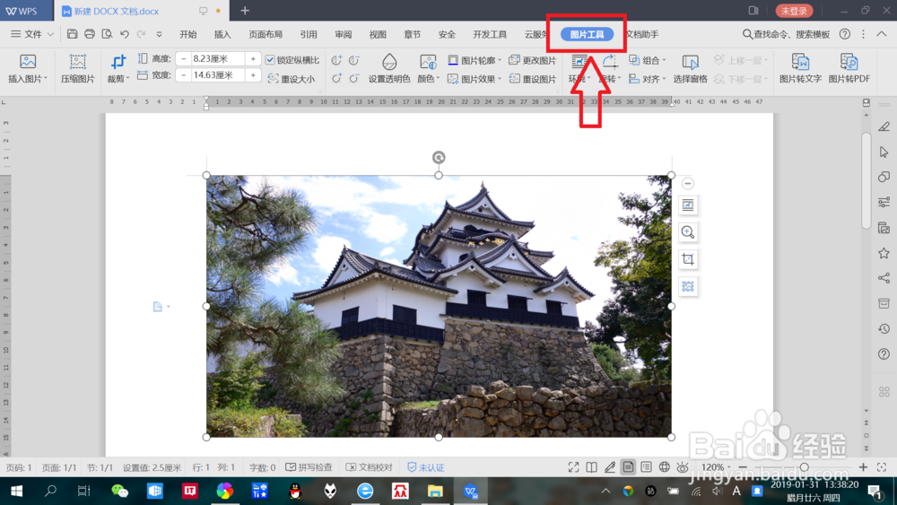 WPS2019如何使用“图片转PDF”功能？
