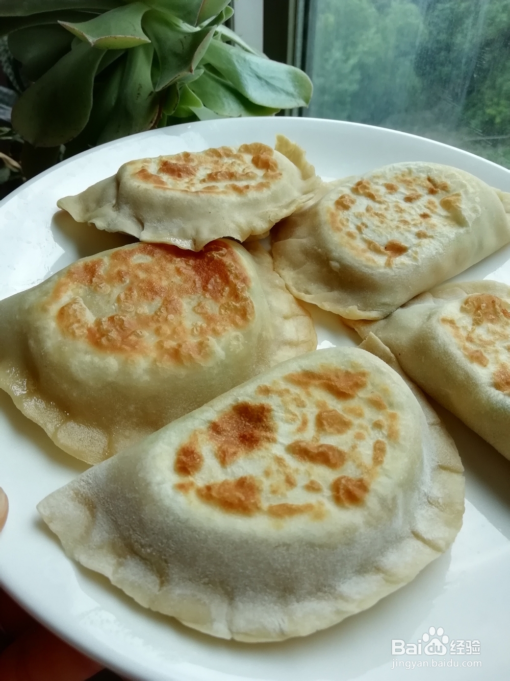 自己做韭菜鸡蛋虾皮合饼海鲜美食