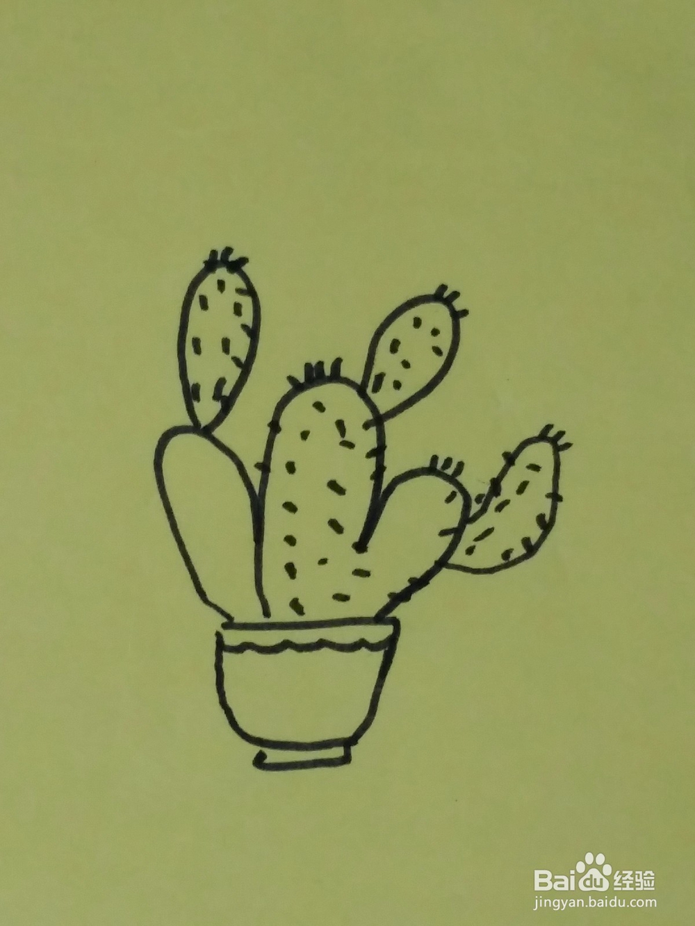 儿童简笔画一盆仙人掌