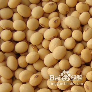 长沙养生豆浆做法培训