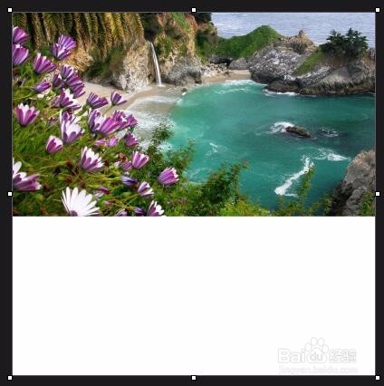 如何利用Snagit编辑器快速设计网页中的图片