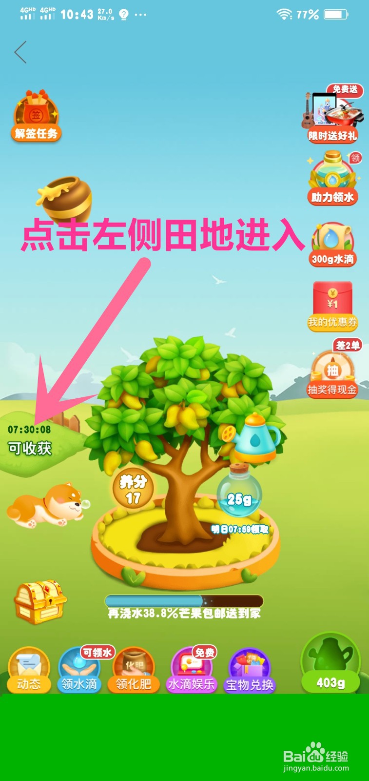 多多农场金币娱乐金币夺宝