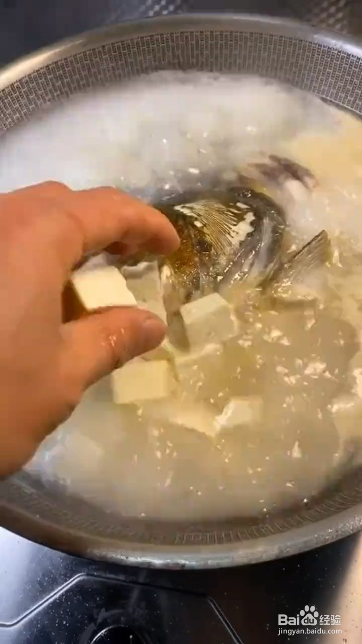 如何烹饪豆腐鱼头汤