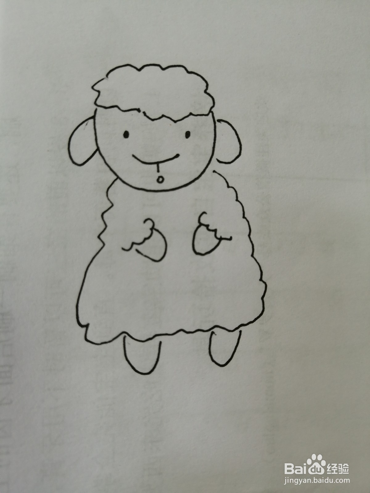 可爱的小绵羊怎么画