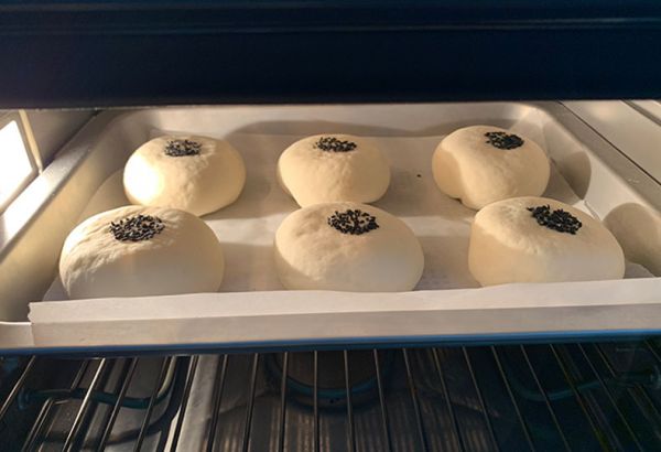 日式蜜豆芝麻包