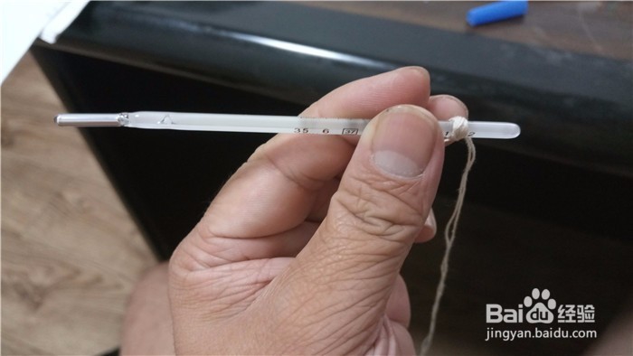 怎么给狗测体温