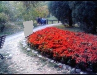 旅游攻略【十四】北京香山游玩