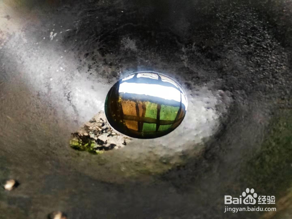 番茄素烧瓠子瓜---便秘小菜谱