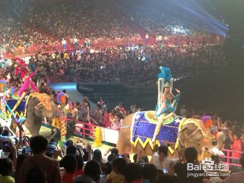 长隆自助游攻略