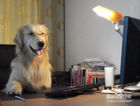 下注违规和银行通道维护不给取款怎么办?