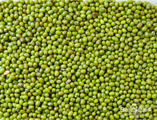 寒性食物一览表