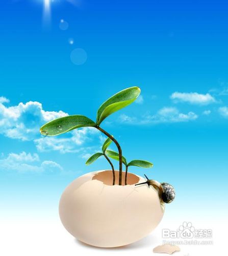 如何准备13年考研教育学?考生该做些什么
