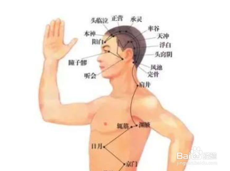 头发老掉怎么办？