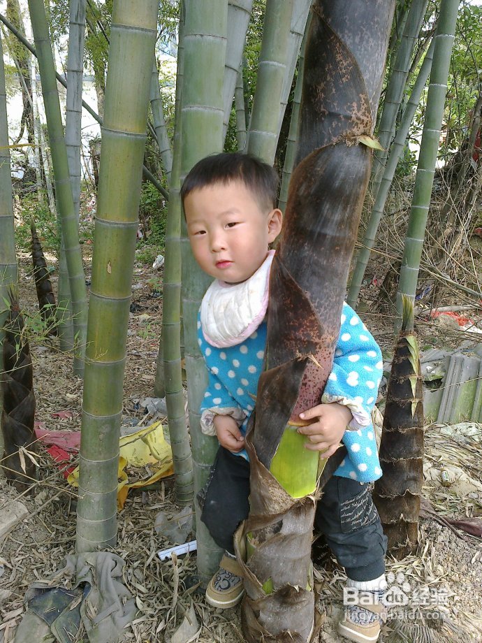 27个月宝宝成长微记录