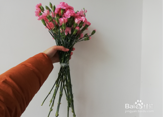 怎样制作漂亮的康乃馨花束