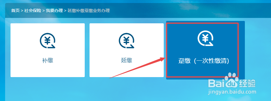 如何在网上申报一次性趸缴职工养老保险费