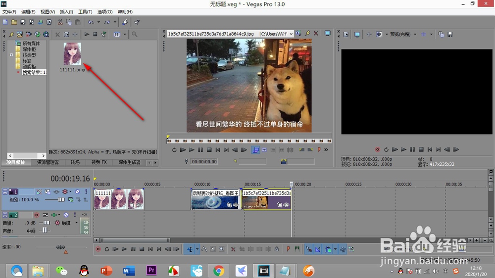 vegas如何使用工具栏的“搜索框”命令？