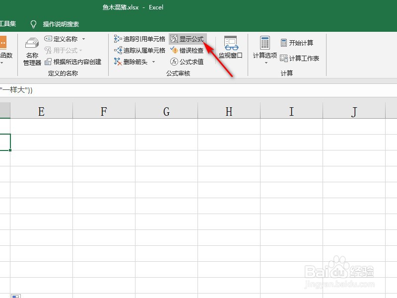 Excel中如何显示公式