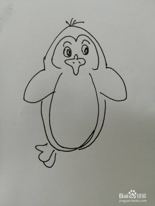 可爱的小企鹅怎么画