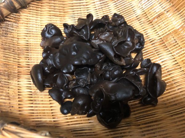 虫草花炖龙骨鸡脚汤