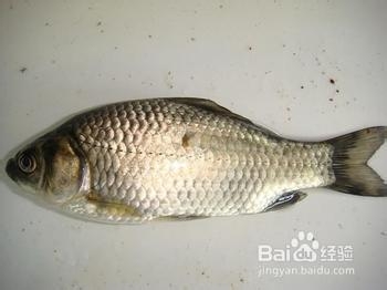 鲫鱼豆腐汤的做法