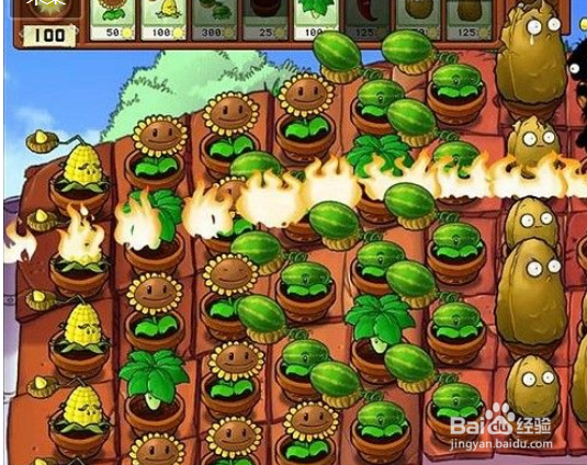 植物大战僵尸屋顶9-10关攻略