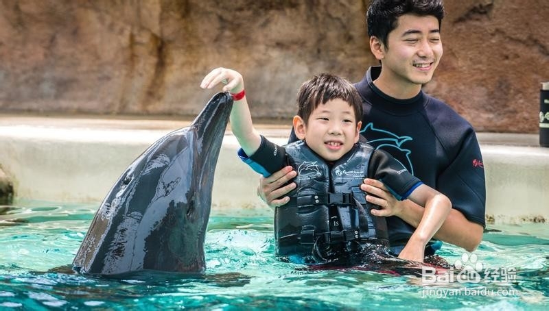 新加坡旅游简记22