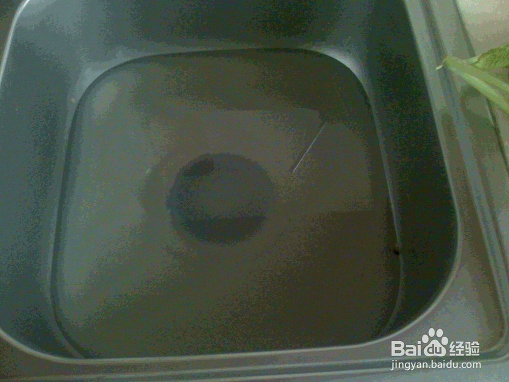 #美食#老年人怎样用淘米水泡洗小萝卜菜