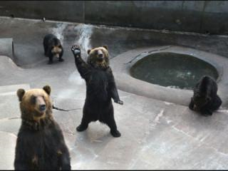 虻田郡旅游指南