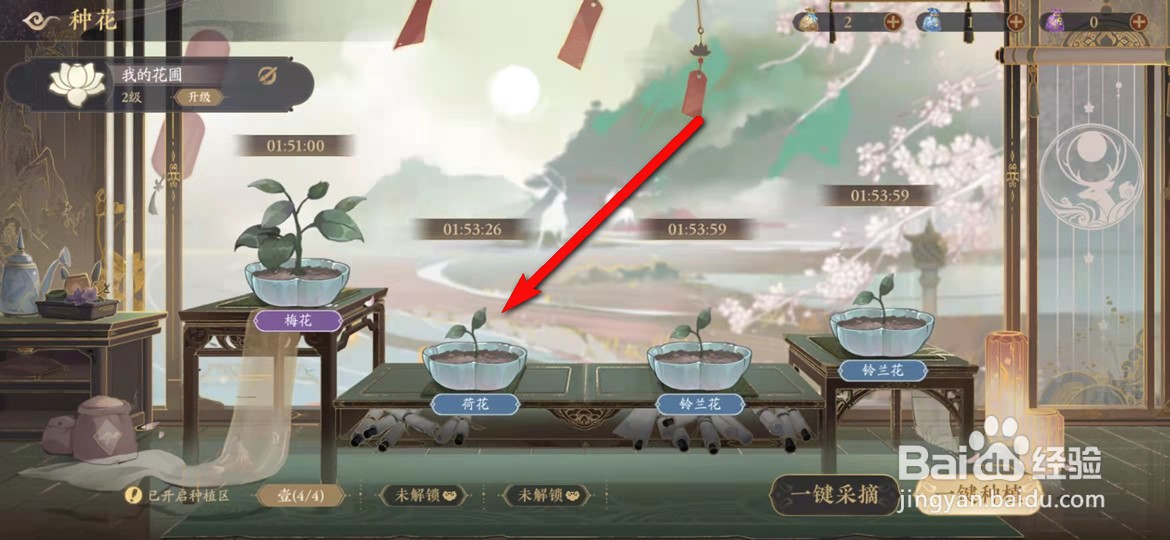 花亦山心之月花朵怎么施肥