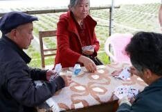 普通扑克牌玩牛牛如何起手拿好牌