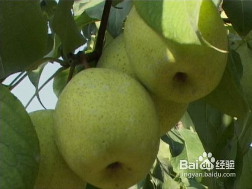 冬季如何正确使用加湿器