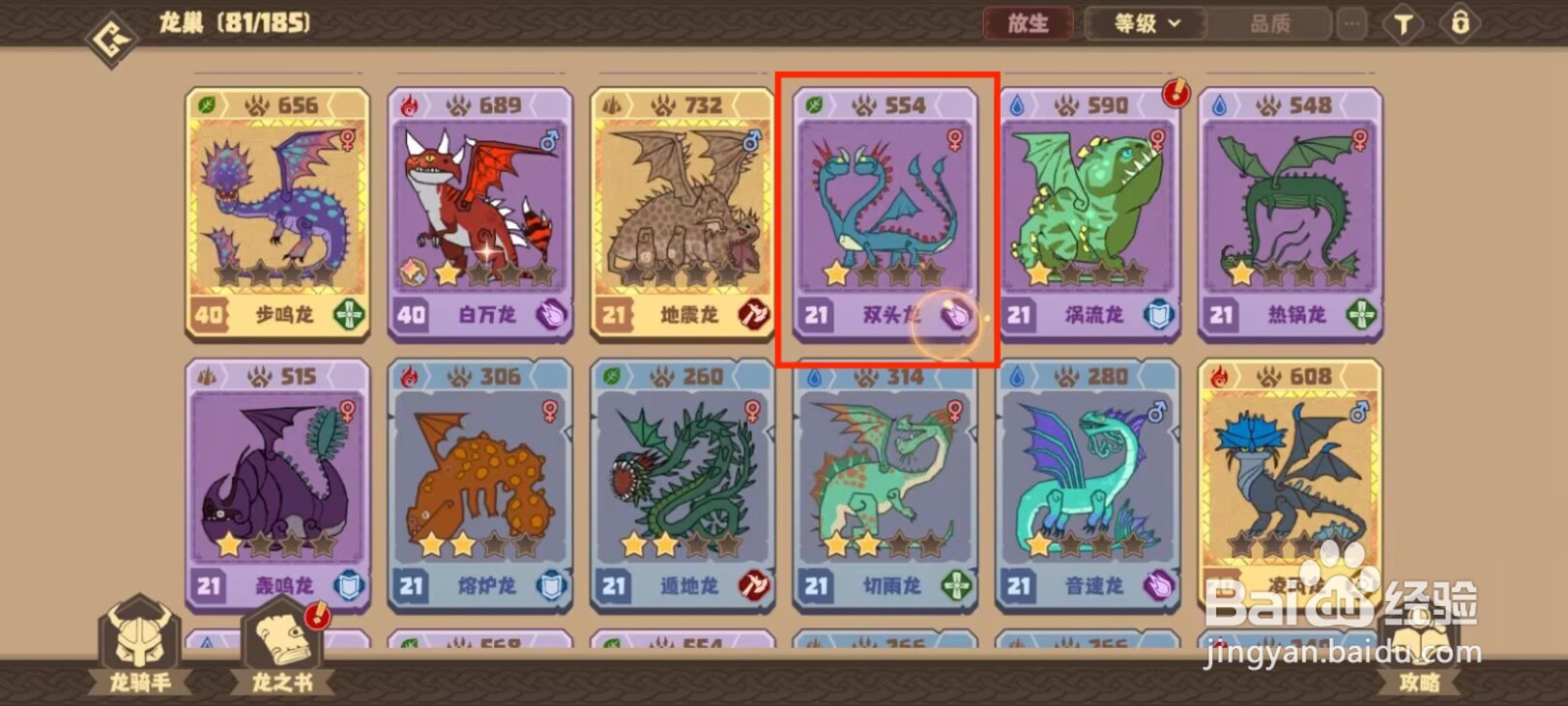 驯龙高手旅程双头龙如何穿戴装备？