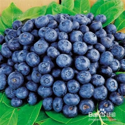 中老年人营养健康还解馋的零食、