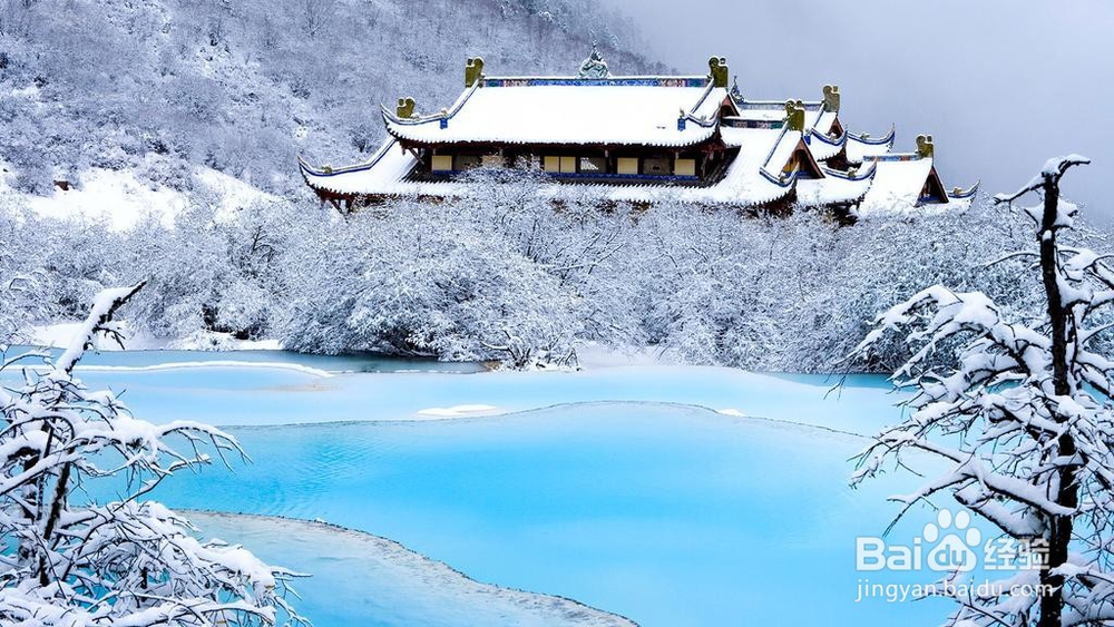一生能有几度雪夜