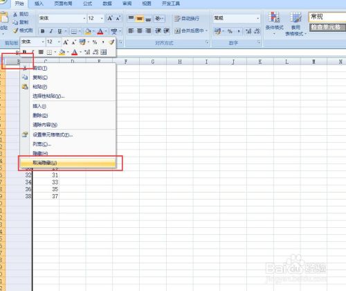 Excel如何隐藏工作表的单元格