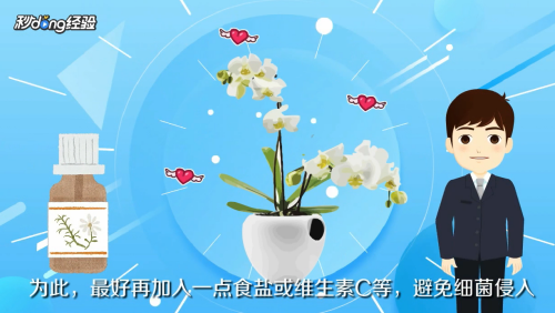 鲜花如何保鲜？