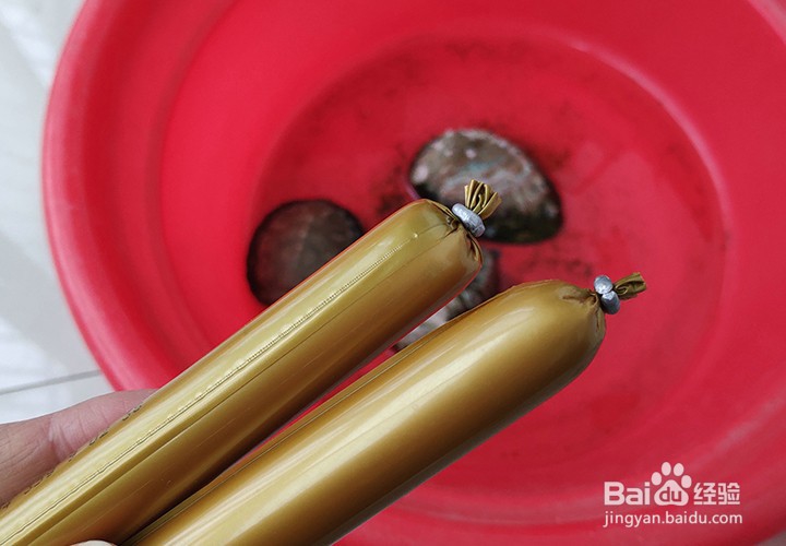 养忍者神龟注意事项