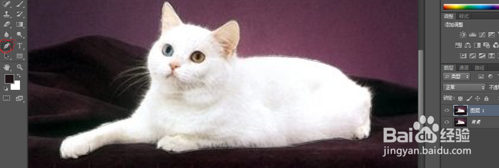 在ps中几种抠图的方法