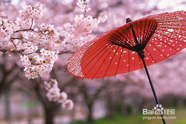 懒人如何自学《新版中日交流标准日本语》?