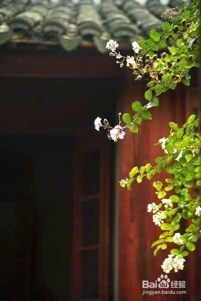 春节坐火车注意事项