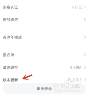 皮皮陪玩APP怎么查看版本