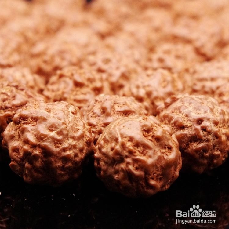 老罗教大家正确认识小金刚产地和嫁接技术