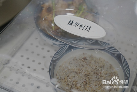 香菇菜蒸排骨