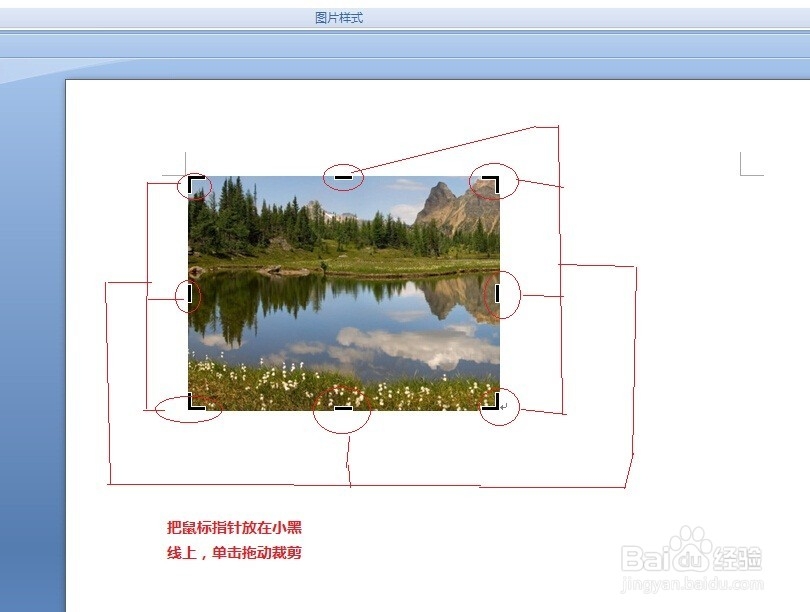 怎样用word2007裁剪图片