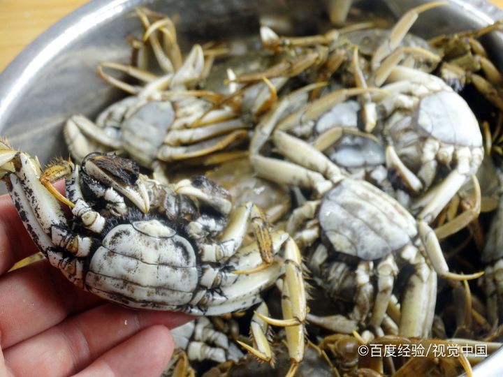 蒸河蟹是凉水还是热水