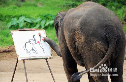 泰北清迈旅游全攻略