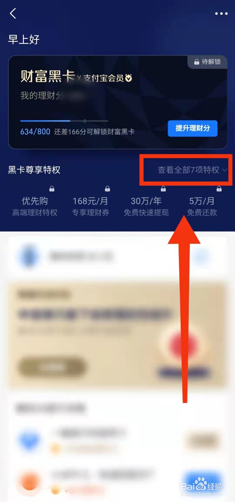 怎样查看支付宝财富黑卡的“全部特权”